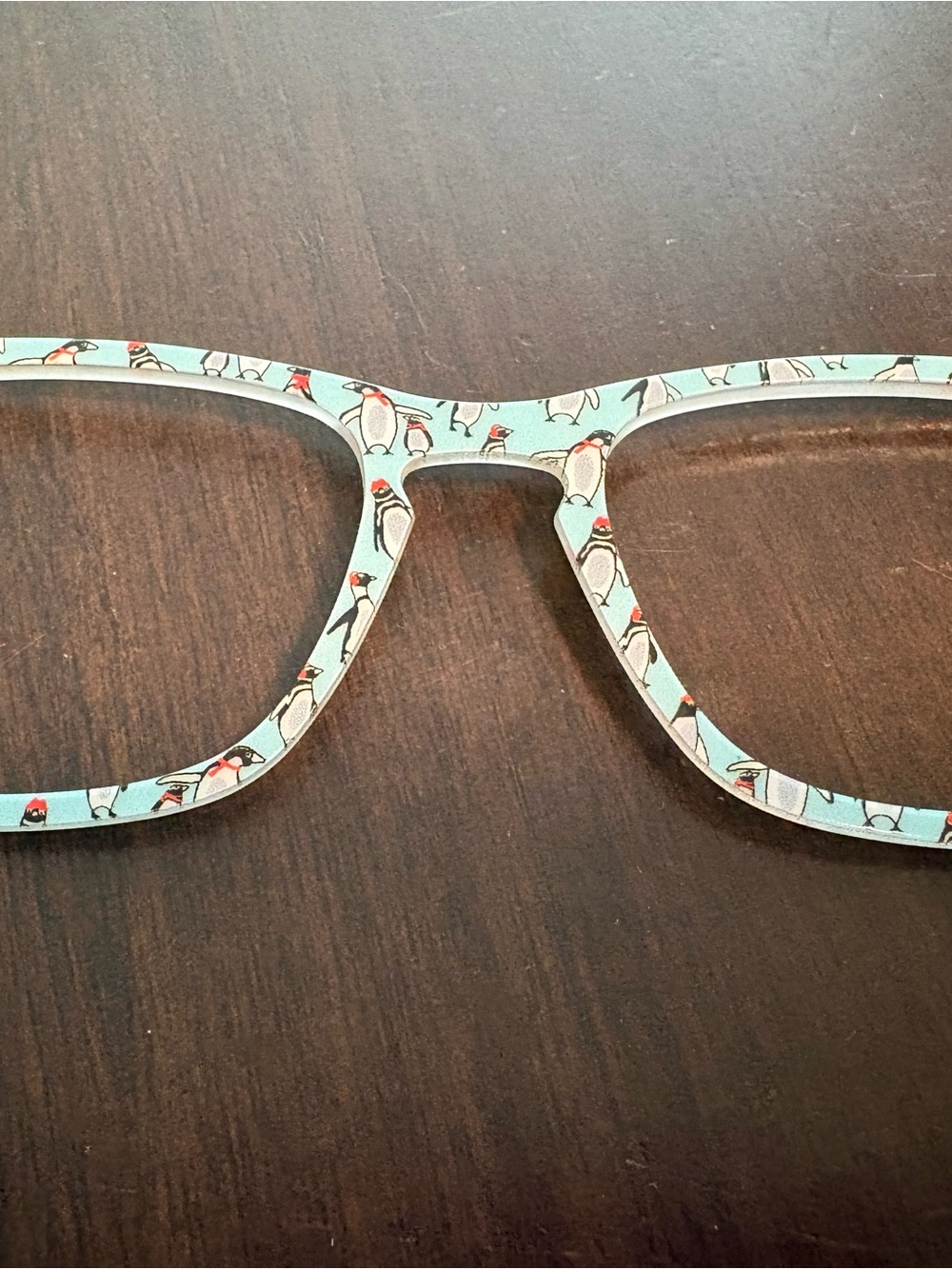 Aqua Penguin Print Eyeglass Frames